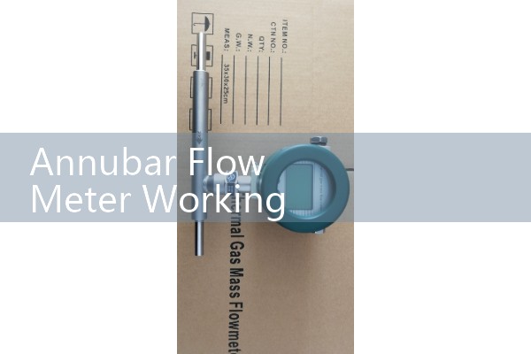 Annubar Flow Meter Working Principle: Averaging Flow Profile Mathematics